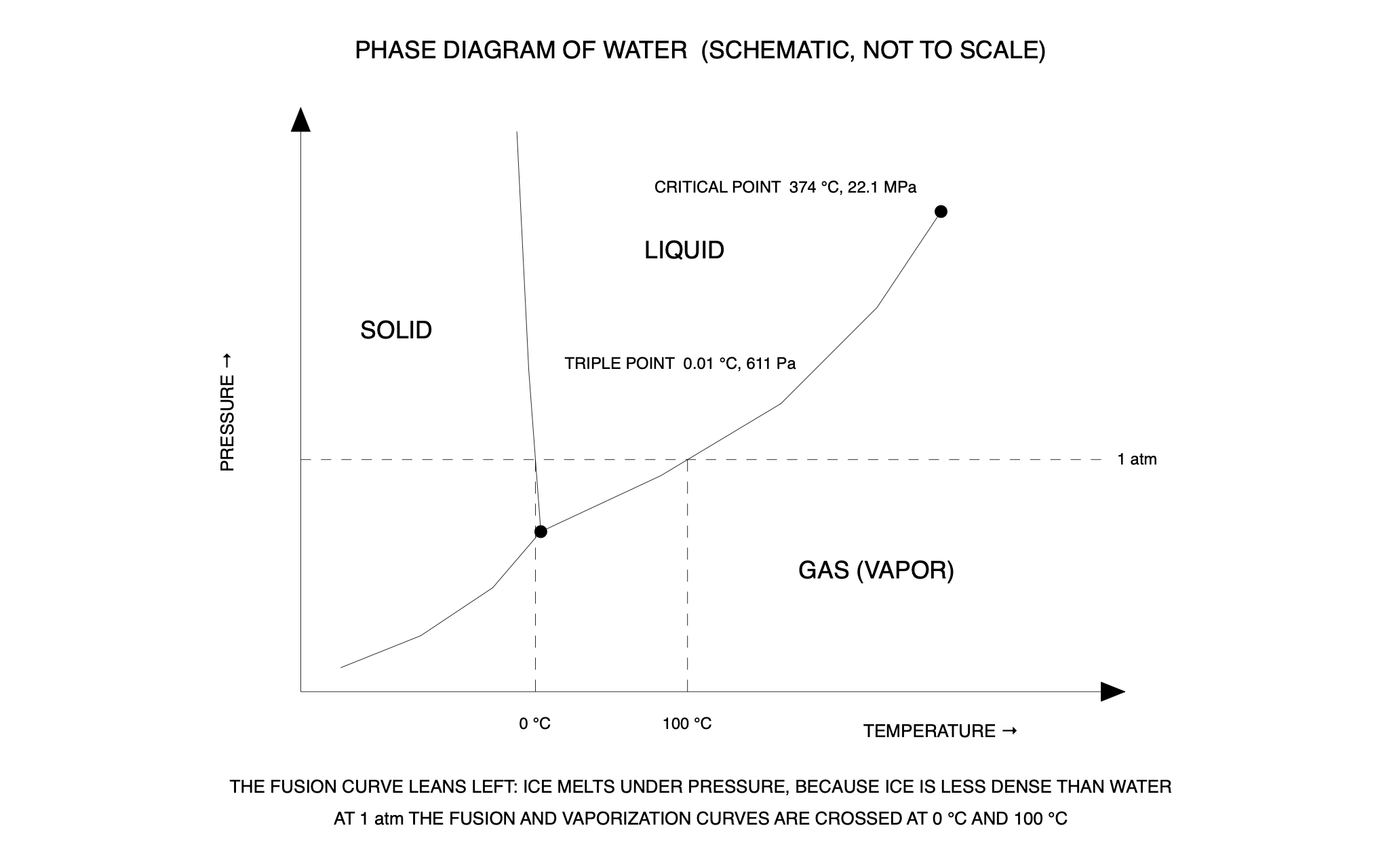 Phase diagram of water — a C3 drawing produced by C3 Assistant